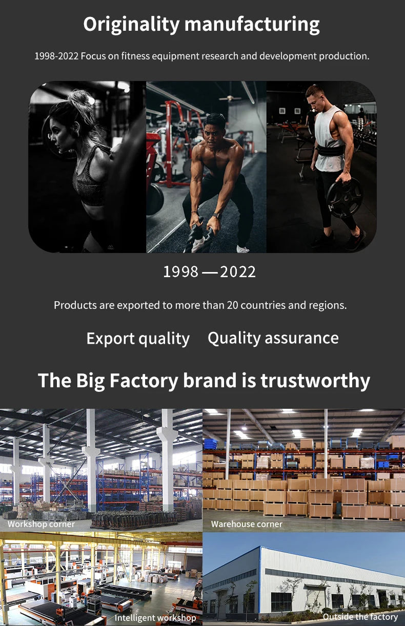 China Fitness Equipment Factory Directly Supplies Quality Sports Training Seated Biceps Curl