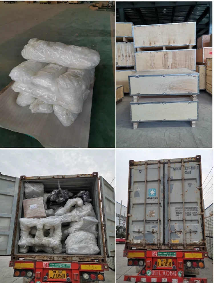 China Fitness Equipment Factory Directly Supplies Quality Sports Training Seated Biceps Curl