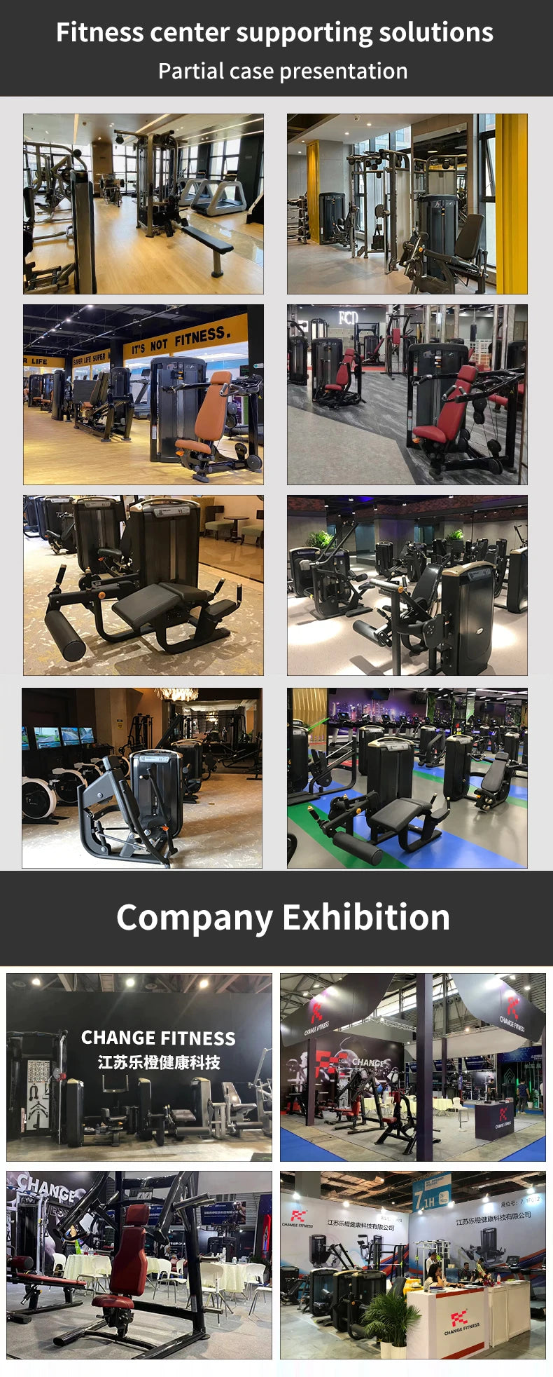 China Fitness Equipment Factory Directly Supplies Quality Sports Training Seated Biceps Curl