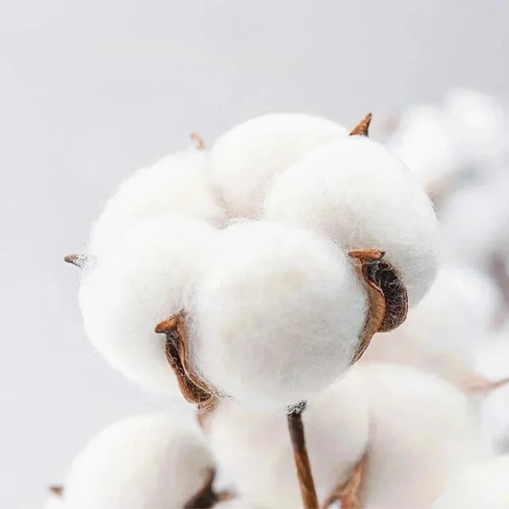 2026 The men's short-sleeved T-shirts, jerseys and fan uniforms of the Egyptian national football team for the World Cup