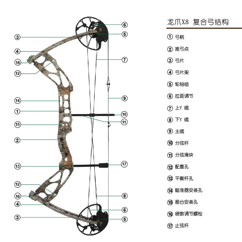 Sanlida Dragon X8 Compound Bow set Adjustable Draw Length Weight Archery Shooting Outdoor Sports