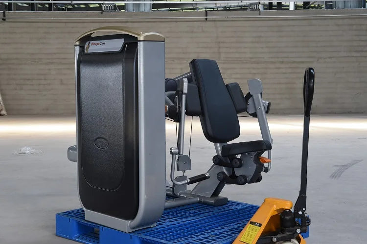 China Fitness Equipment Factory Directly Supplies Quality Sports Training Seated Biceps Curl